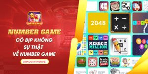 35 number game co bip khong su that ve number game