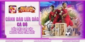 11 canh bao lua dao ca do dau hieu hay gap nguoi choi can biet