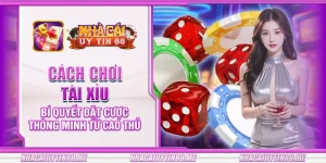 22 cach choi tai xiu bi quyet dat cuoc thong minh tu cao thu