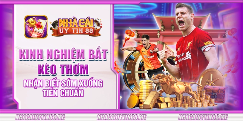 6 kinh nghiem bat keo thom nhan biet som xuong tien chuan