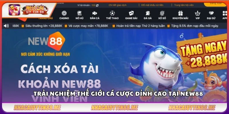 New88 – Nhà cái cá cược uy tín với hàng triệu người chơi 3 Trải nghiệm thế giới cá cược đỉnh cao tại New88