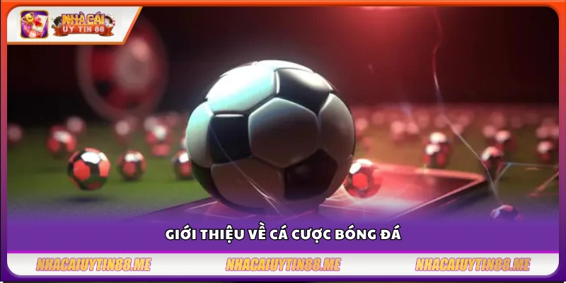 Tìm hiểu hình thức cá cược thể thao phổ biến nhất hiện nay