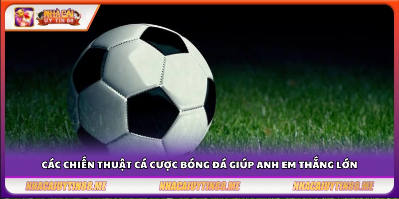 Chiến thuật cá cược bóng đá giúp người chơi tối ưu hóa lợi nhuận