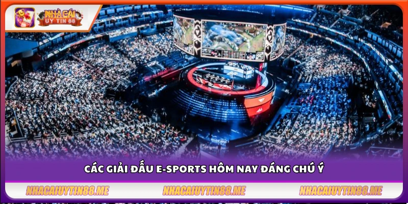 Giải đấu e‑sports hôm nay – Những trận đấu đáng chú ý không thể bỏ lỡ 3 Những giải e-sports hot nhất trong ngày bạn không nên bỏ lỡ