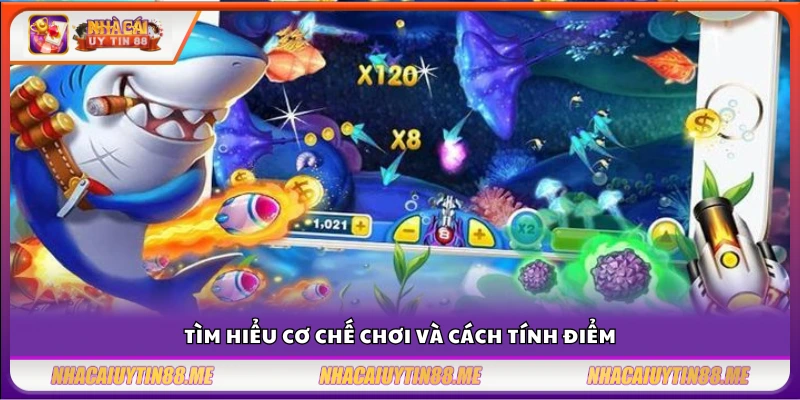 Kinh nghiệm bắn cá ăn tiền – Bắn đúng cách lời đều mỗi ngày 3 Cách chơi bắn cá và hệ thống tính điểm