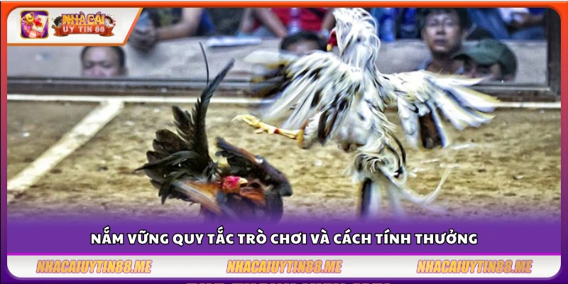 Hiểu rõ luật chơi và cách trả thưởng khi cá cược