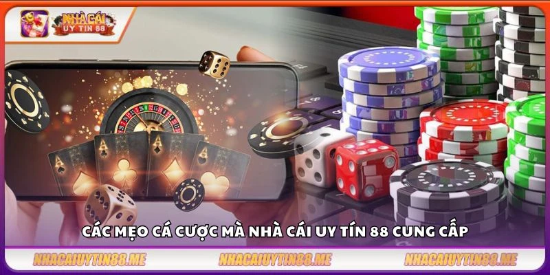 Mẹo cá cược - Chia sẻ mẹo chơi dễ thắng từ chuyên gia 11 Các mẹo cá cược mà nhà cái uy tín 88 cung cấp