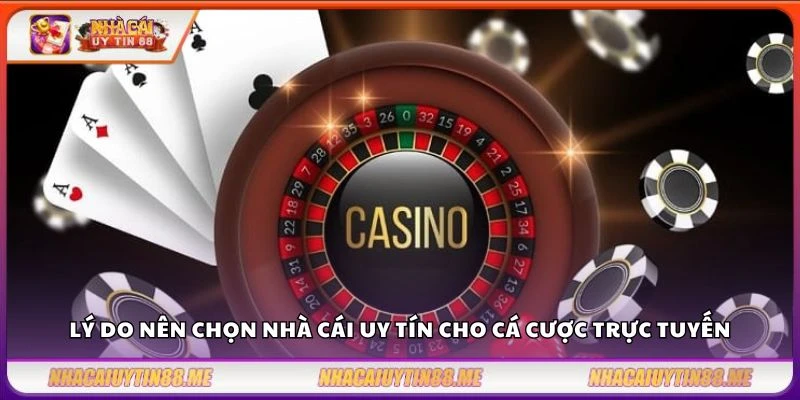 Lý do nên chọn nhà cái uy tín cho cá cược trực tuyến