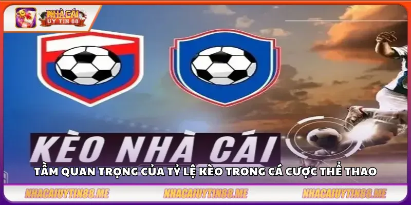 Tỷ lệ kèo nhà cái – Nền tảng soi kèo chuyên nghiệp và hiệu quả 2 Tầm quan trọng của tỷ lệ kèo trong cá cược thể thao