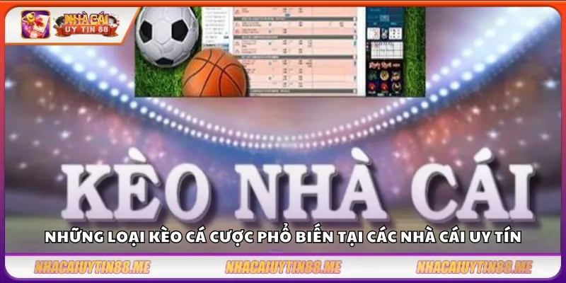 Tỷ lệ kèo nhà cái – Nền tảng soi kèo chuyên nghiệp và hiệu quả 3 Những loại kèo cá cược phổ biến tại các nhà cái uy tín