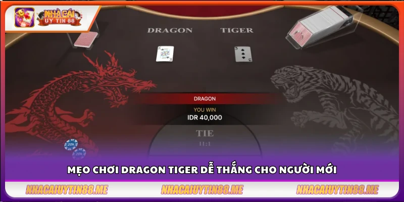 Mẹo chơi dragon tiger tại Gem88 – Tăng tỷ lệ thắng lên 80% cho người mới 4 Mẹo chơi Dragon Tiger hiệu quả cho người mới bắt đầu